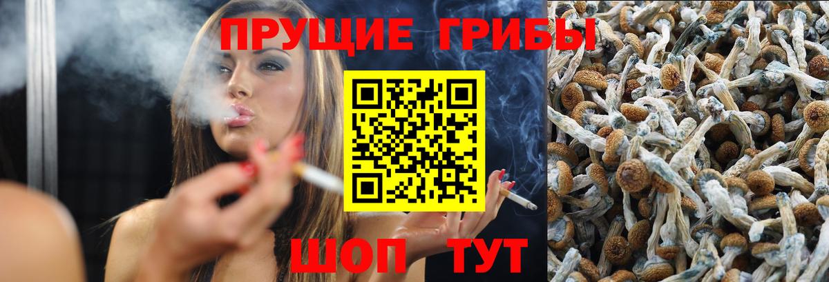 как найти закладки  Галлюциногенные грибы мухоморы  Курчатов  Вход с VPN  Псилоцибиновые грибы MAGIC MUSHROOMS 